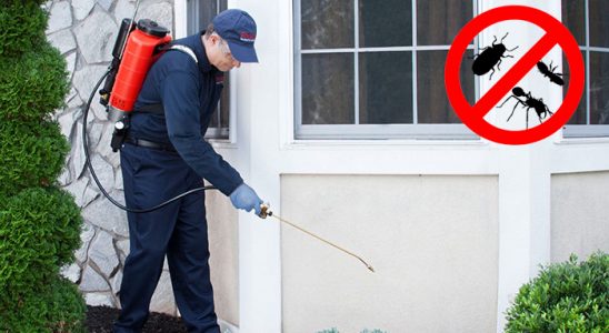 Datça Gümüşkurt İlaçlama böcek ilaçlama ve haşere kontrolü — ilaclama-tr.com